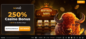 BetWhale casino bonuses